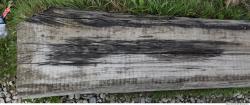 Photo Textures of Wood